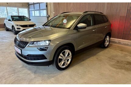 Skoda Karoq Gebrauchtwagen