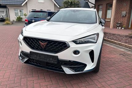 Cupra Formentor Gebrauchtwagen