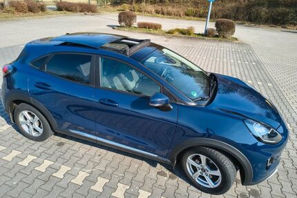 Ford Puma Gebrauchtwagen