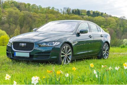 Jaguar XE Gebrauchtwagen