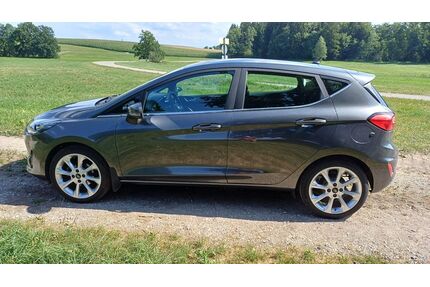 Ford Fiesta Gebrauchtwagen