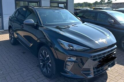 Cupra Terramar Gebrauchtwagen