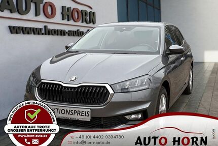 Skoda Fabia Gebrauchtwagen