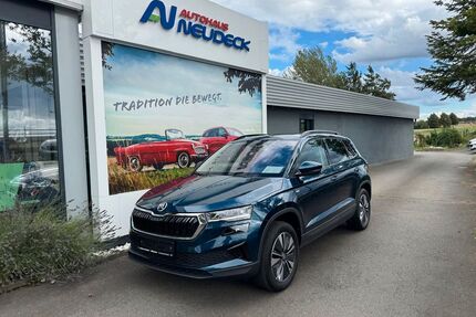 Skoda Karoq Gebrauchtwagen