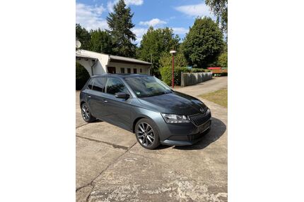 Skoda Fabia Gebrauchtwagen