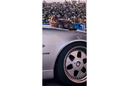 Mercedes-Benz SLK 230 Gebrauchtwagen