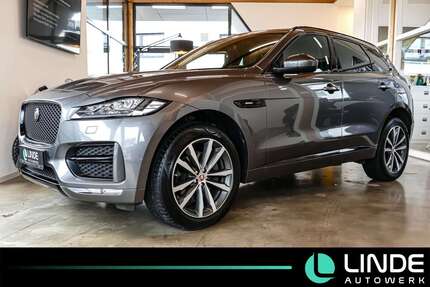 Jaguar F-Pace Gebrauchtwagen