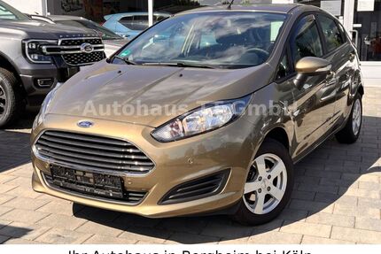 Ford Fiesta Gebrauchtwagen