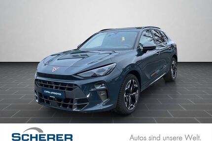 Cupra Terramar Gebrauchtwagen