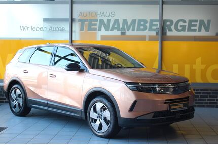 Opel Grandland (X) Gebrauchtwagen