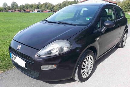 Fiat Punto Gebrauchtwagen