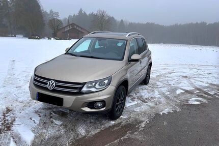 VW Tiguan Gebrauchtwagen