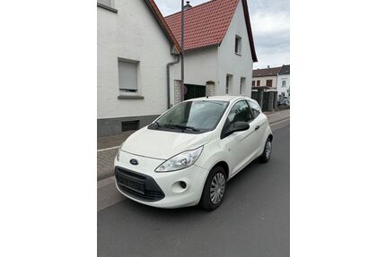 Ford Ka/Ka+ Gebrauchtwagen