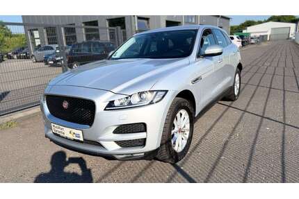 Jaguar F-Pace Gebrauchtwagen