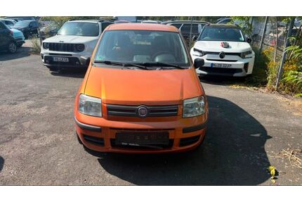 Fiat Panda Gebrauchtwagen