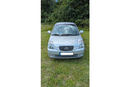 Kia Picanto Gebrauchtwagen