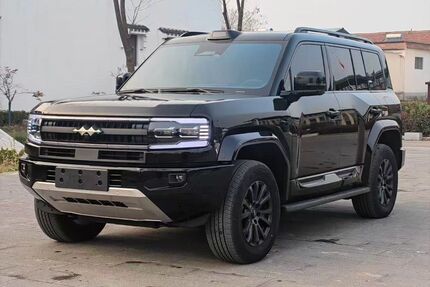 BYD Andere Gebrauchtwagen