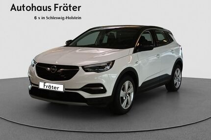 Opel Grandland (X) Gebrauchtwagen