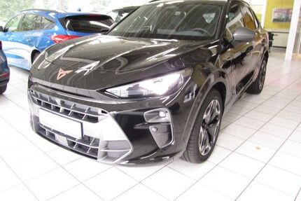 Cupra Terramar Gebrauchtwagen