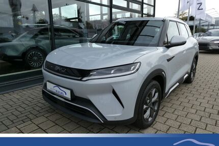 BYD ATTO 2 Gebrauchtwagen