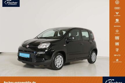 Fiat Panda Gebrauchtwagen
