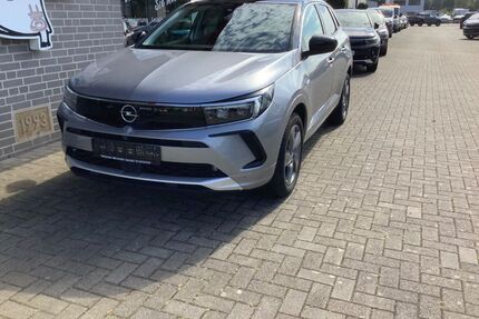 Opel Grandland (X) Gebrauchtwagen