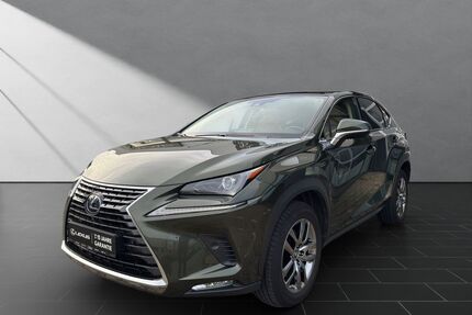 Lexus NX 300 Gebrauchtwagen