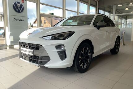 Cupra Terramar Gebrauchtwagen