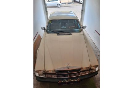 Jaguar XJ6 Gebrauchtwagen