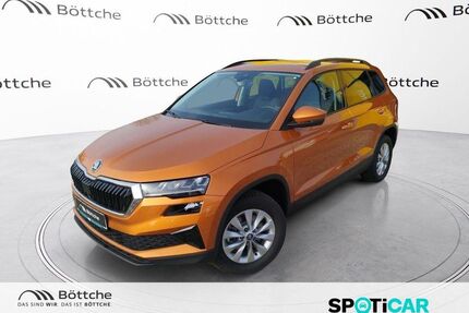 Skoda Karoq Gebrauchtwagen