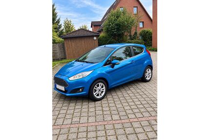 Ford Fiesta Gebrauchtwagen