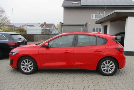 Ford Focus Gebrauchtwagen