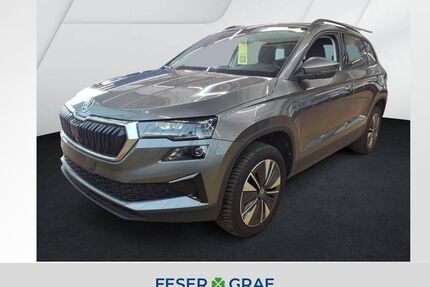 Skoda Karoq Gebrauchtwagen