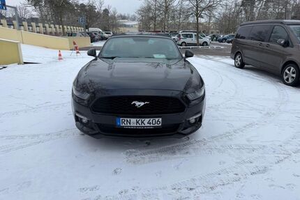 Ford Mustang Gebrauchtwagen