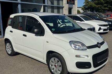 Fiat Panda Gebrauchtwagen