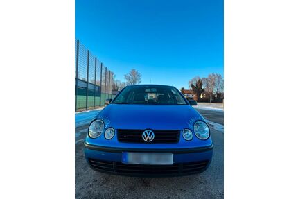 VW Polo Gebrauchtwagen
