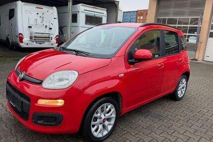Fiat Panda Gebrauchtwagen