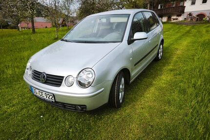 VW Polo Gebrauchtwagen