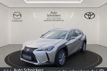 Lexus UX Gebrauchtwagen