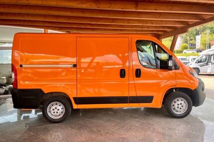 Fiat Ducato Gebrauchtwagen