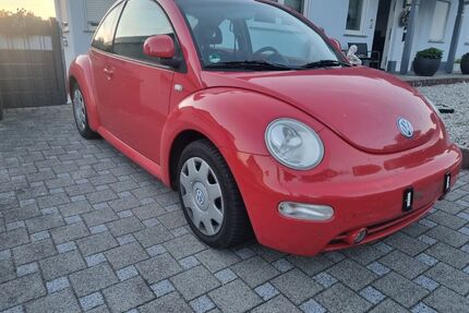 VW Beetle Gebrauchtwagen