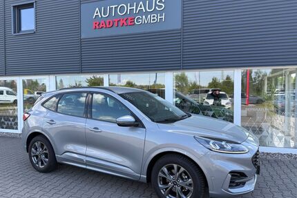 Ford Kuga Gebrauchtwagen