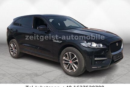 Jaguar F-Pace Gebrauchtwagen