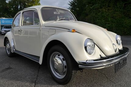 VW Käfer Gebrauchtwagen