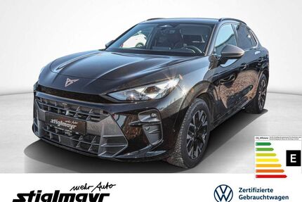 Cupra Terramar Gebrauchtwagen