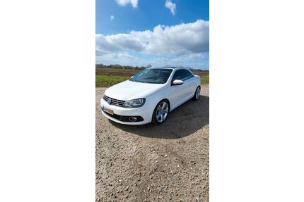 VW Eos Gebrauchtwagen