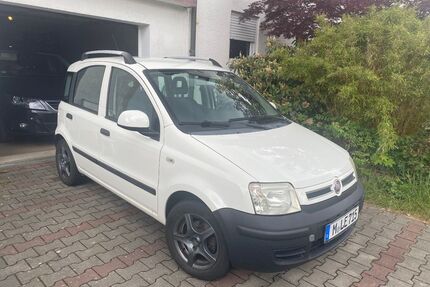 Fiat Panda Gebrauchtwagen