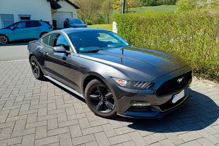 Ford Mustang Gebrauchtwagen