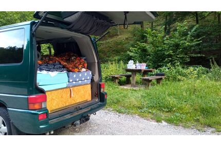 VW T4 Caravelle Gebrauchtwagen