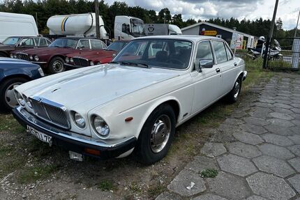Jaguar XJ12 Gebrauchtwagen